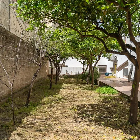 Casa Palmavera *