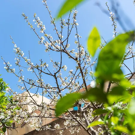 Casa Palmavera דירה אלגהרו