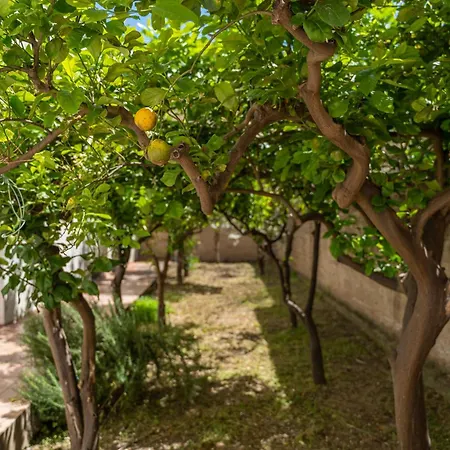 Casa Palmavera Alghero