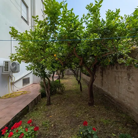 Casa Palmavera Apartment *